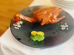 -悦景酒家(罗湖店)