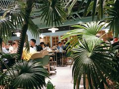 -春润大地海南椰子鸡(沙井京基百纳广场店)