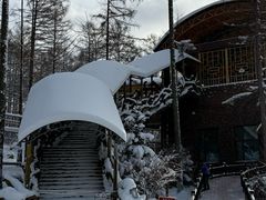 -横道河子东北虎林园