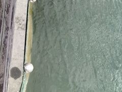 -桐乡凤凰湖