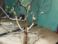 -上海大自然野生昆虫馆(东方明珠·爬宠昆虫探索中心)