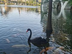 -茵特拉根酒店·西餐厅