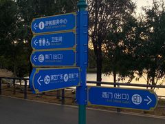 -丁香湖公园