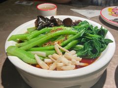 -新白鹿餐厅(嘉兴八佰伴华府店)