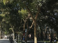 -广州市白云山风景名胜区