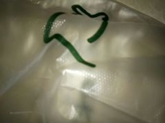 -益禾堂·薄荷柠檬水(龙城店)