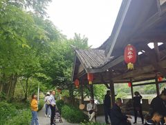 -杨家寨