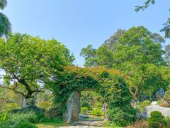 -东莞植物园