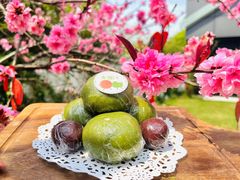 -硅谷蒙学幼儿园