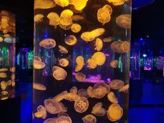 -杭州长乔极地海洋公园