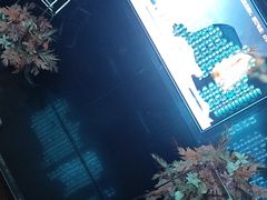 -黑桃K生日订制KTV