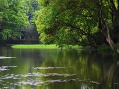 -西湖外事游船(花港观鱼码头)