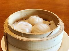 -广州富力君悦大酒店空中花园