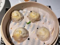 -桂满陇·海市蜃楼·黑金(国金店)