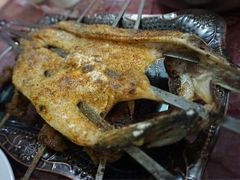 -新疆风味冷水鱼庄(友谊峰路店)