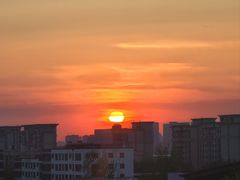 -莫子山公园