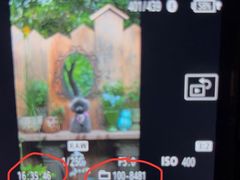 -上海鲜花港