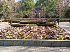 -人民公园-相亲角