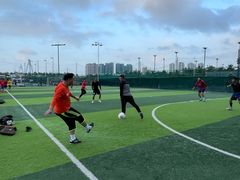 -万绿园