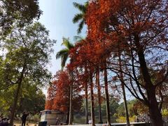 -华南国家植物园-售票处