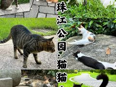 -广州珠江公园