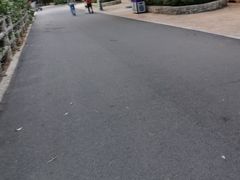 -灵玲国际马戏城