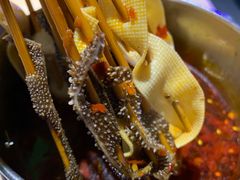 -蒙料·手把肉(望京店)