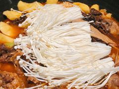 -挂雪铁锅炖大鹅