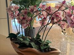 -上海佘山世茂艾美酒店