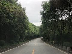 -平湖九龙山旅游度假区