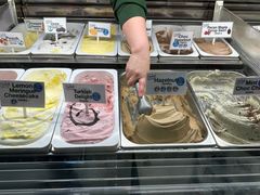 -Dooley's Premium Ice Cream