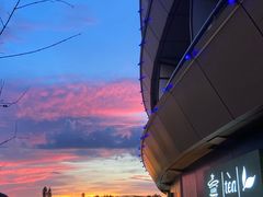 -青藤茶馆(凤起路店)