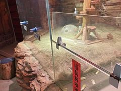 -正佳雨林生态植物园