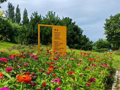 -观澜小洱海