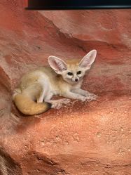 -Zoolung Zoolung动物主题公园(海信广场店)