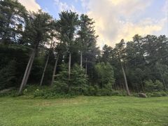 -五营红松林海景区