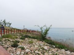 -小麦岛公园