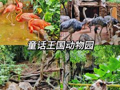 -长鹿旅游休博园
