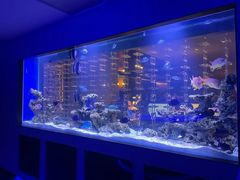 -上和臻品中国菜(花园街店)