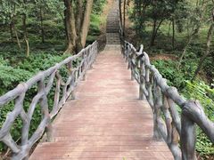 -南京老山国家森林公园
