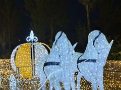 -鄂尔多斯野生动物园