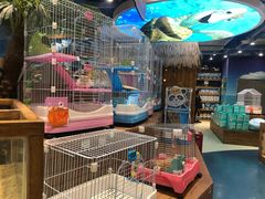 -龟与熊猫宠物公园(南坪店)
