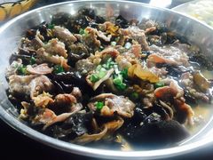 -石岐乳鸽村(桥观坊南四巷店)