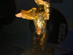 -西安电影制片厂