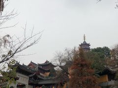 -鸡鸣赐茶(鸡鸣寺路店)