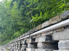 -东钱湖旅游度假区