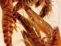-凯华海鲜火锅·传承三十六年
