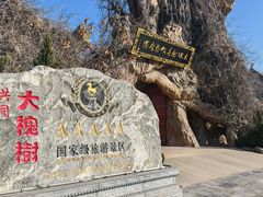 -大槐树寻根祭祖园