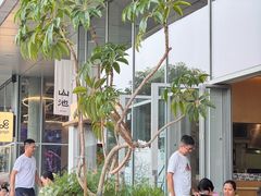 -SAANCI山池咖啡(海上世界文化艺术中心店)