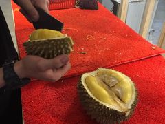 -都念榴莲·城市榴莲